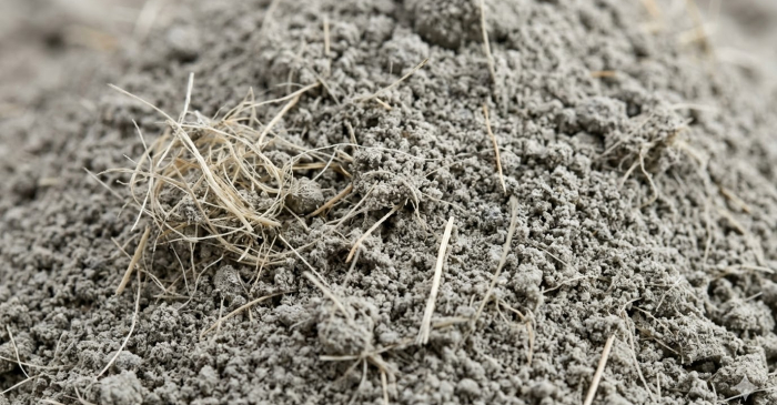 Materials for micro-reinforcement in construction